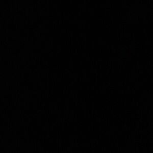 Meet your Posher, Rolando jr.